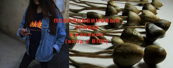 MDMA Кодинск