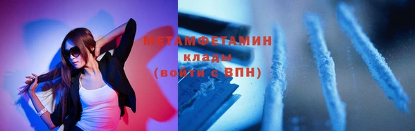прущие грибы Козельск