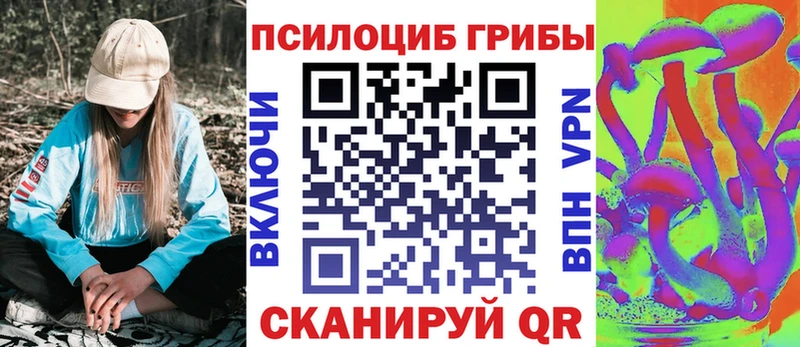 Галлюциногенные грибы Psilocybine cubensis  наркотики  мега онион  Темников 